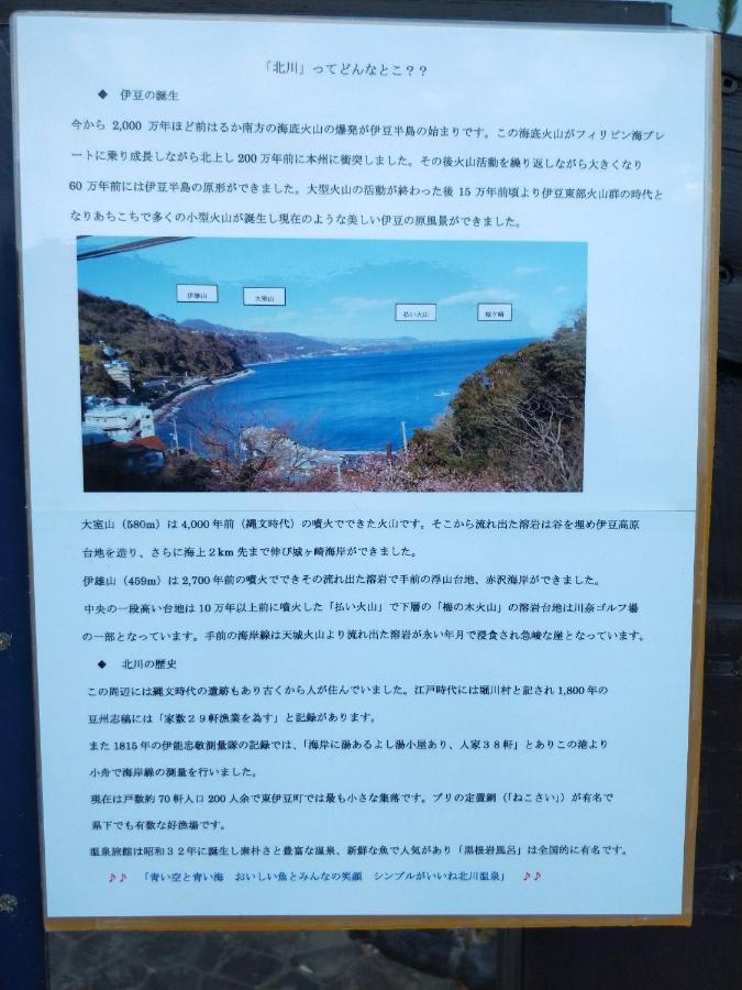 传统日式旅馆 伊豆北川の家 2*